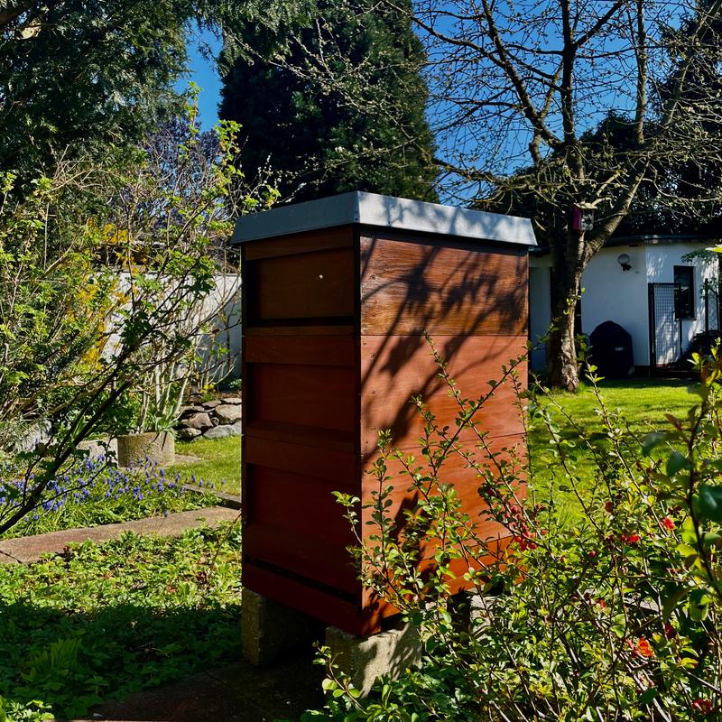 Bienenbeute in einem Garten vor städtischer Kulisse